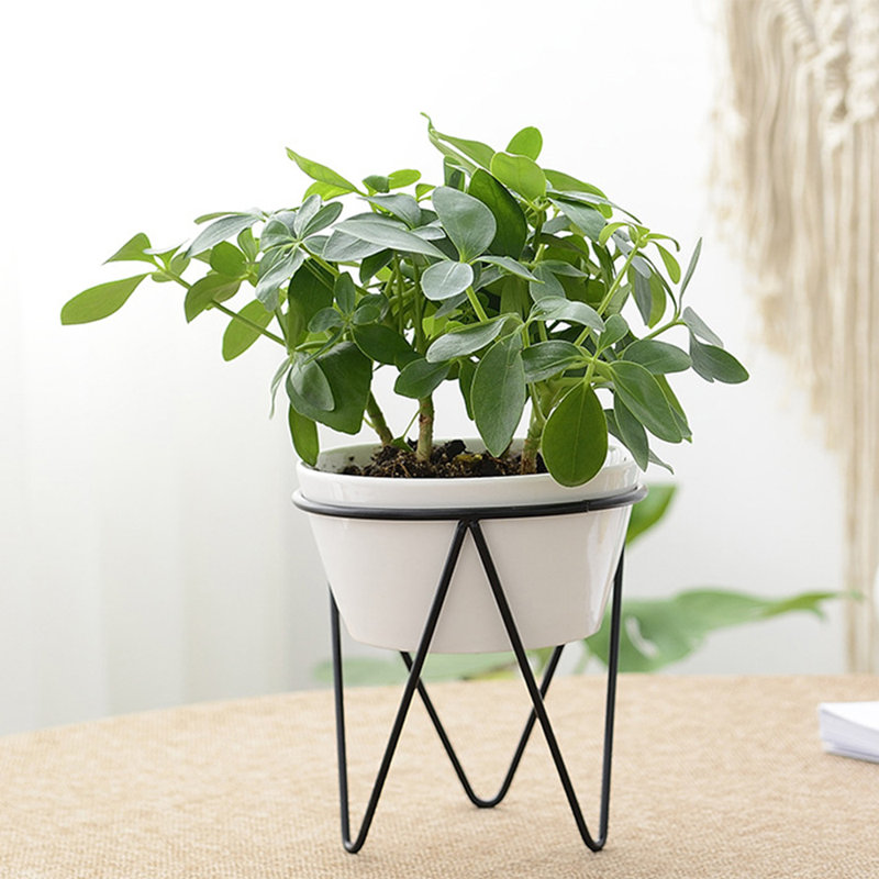Abdulazis Ceramic Pot Planter, Black