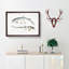 Bearded Sharks by John Edward Gray - Single Picture Frame Print-55543958-55543961