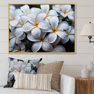 Plumeria pluvieux paradis sur toile