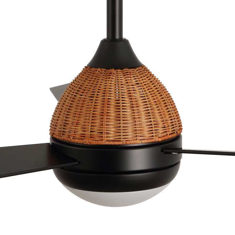 52" 3-Blade Woven Rattan Ceiling Fan With LED Light And Remote Control, Black