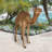 Grand-Scale Desert Camel Statue