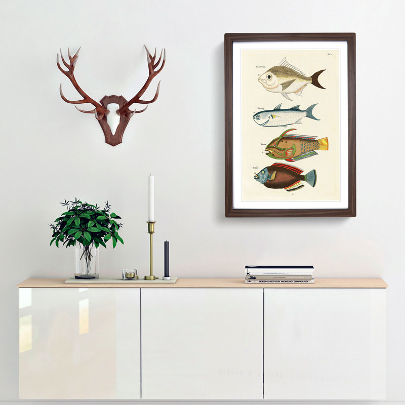 East Indies Fish Illustrations Fol. 2 by Louis Renard - Picture Frame Painting Print, Walnut Framed, 36cm H x 27cm W x 2cm D
