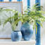 42.5-Inch Tree Fern Stem