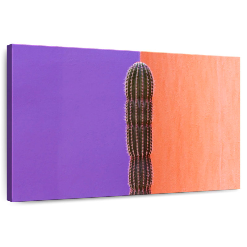 Harnek cactus contraste, H 8 po x l 12 po