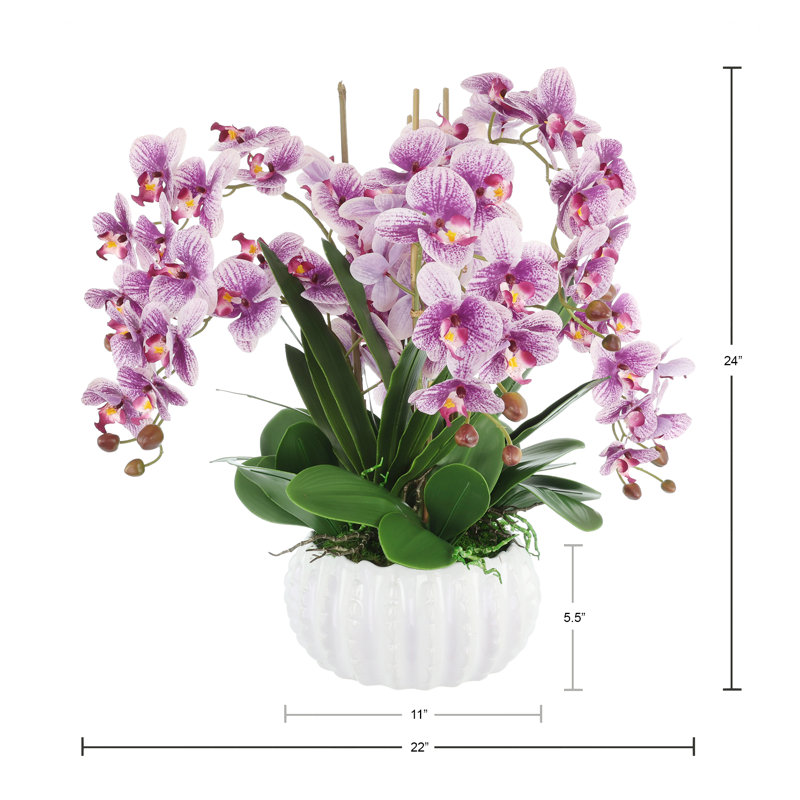 Purple Orchids Arranged in Decorative Ceramic Pot, 24"H x 22"W x 22"D