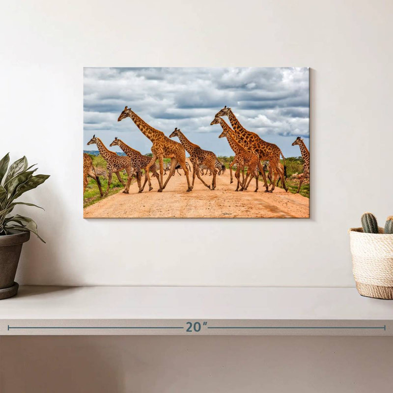 Courir avec des girafes et des zèbres, H 8 po x l 12 po
