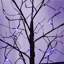 3 pièces d'arbres noirs illuminés d'Halloween effrayants, 4 pi / 5 pi / 6 pi avec lumières mauves, décoration d'Halloween