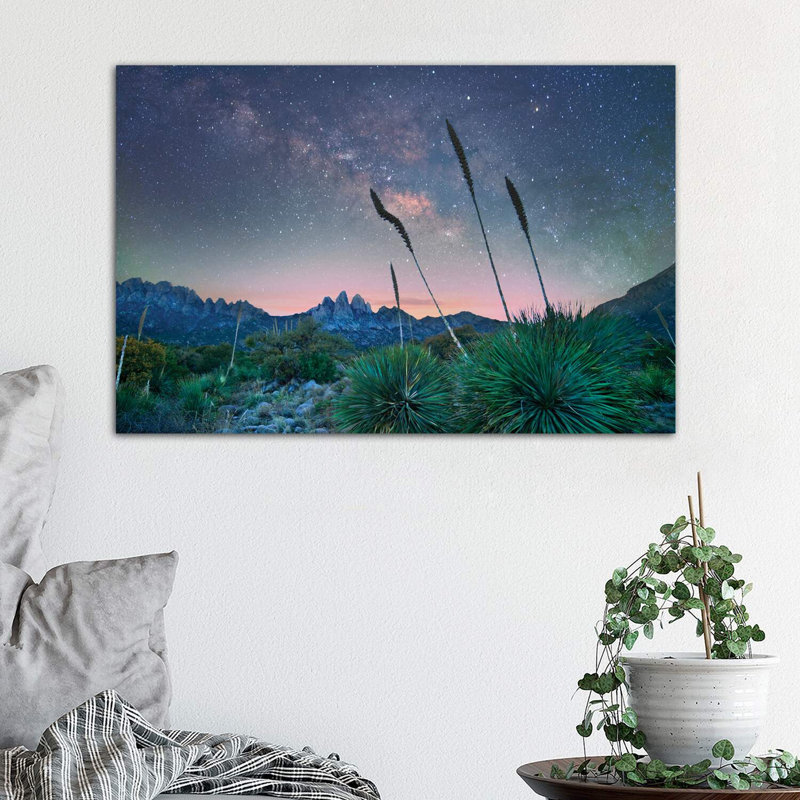 Agave And The Milky Way, Organ Mountains-Desert Peaks National Monument, New Mexico II by Tim Fitzharris - Wrapped Canvas Print