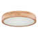 Perdomo Plastic LED Flush Mount