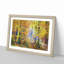 Forest in the Fall - Picture Frame Graphic Art Print-55723354-55723356