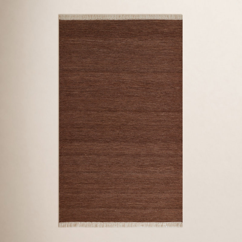 Cassandra Hand Woven Modern Indoor Outdoor Brown Rug, Rectangle 10' x 14'