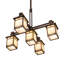 5 - Light Chandelier