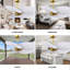 Alessandra Tropical - Five Blade Ceiling Fan - Matte White Finish - Matte White Blades-1004283730-1004283680