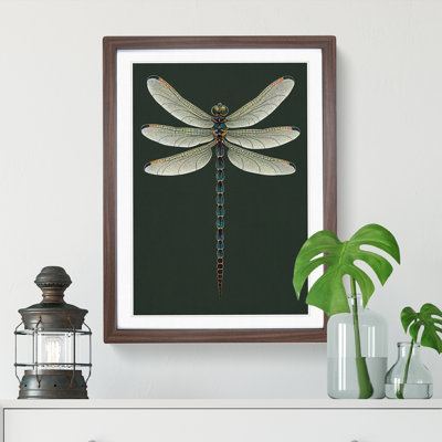 Symmetrical Dragonfly - Single Picture Frame Print