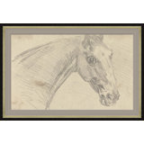 Study Of A Horse Giclee Print by Sawrey Gilpin