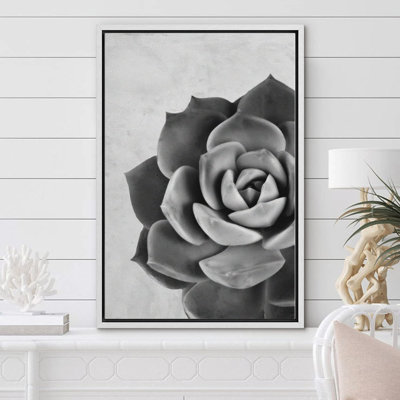 Gros plan sur des plantes florales grises en niveaux de gris, photographie du sud-ouest, noir et blanc