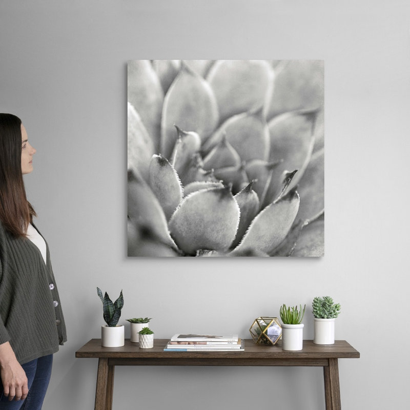 «Garden Succulent I», art mural sur toile, H 30 po x l 30 po x P 1,25 po, Toile tendue