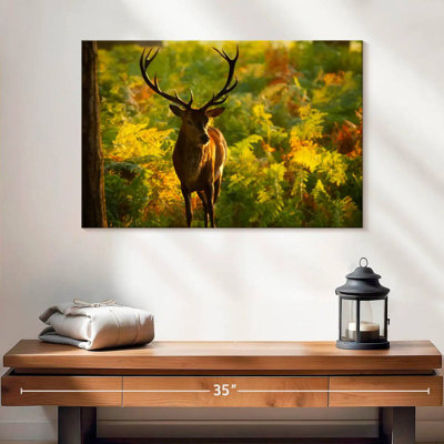 Cerf Brampt Autumn Woodland