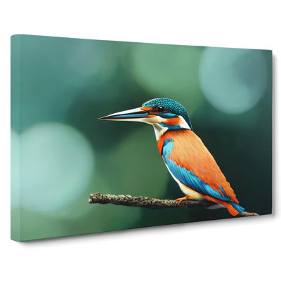 Splendid Kingfisher Bird - Wrapped Canvas