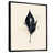 Black Floater Framed