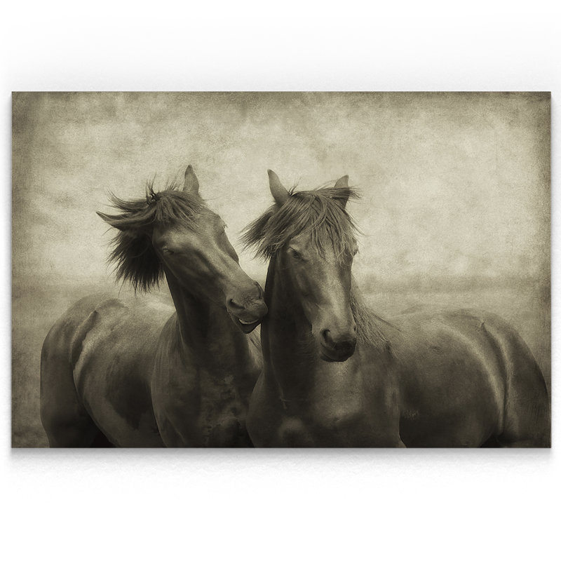 " Horses Dont Whisper ", 24" H x 36" W x 1.5" D, Wrapped Canvas