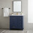 30" Bathroom Vanity Cabinet With Blue Finish, Ceramic Sink & Ample Storage