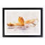 Sunlight over Rodeo Beach - Picture Frame Graphic Art Print-56877309-56877313