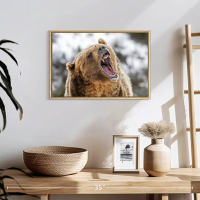 Roaring Grizzly Bear