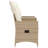 Vidaxl Reclining Garden Sofa Beige PE Rattan Two-Seater-116119958-116119962
