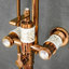 Michalak Mixer Shower with Dual Shower Head