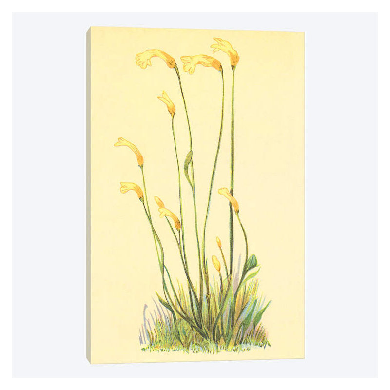 Collection One One Flowered Root par PI - Impression sur toile tendue sur châssis, H 40 po x l 26 po x P 1,5 po
