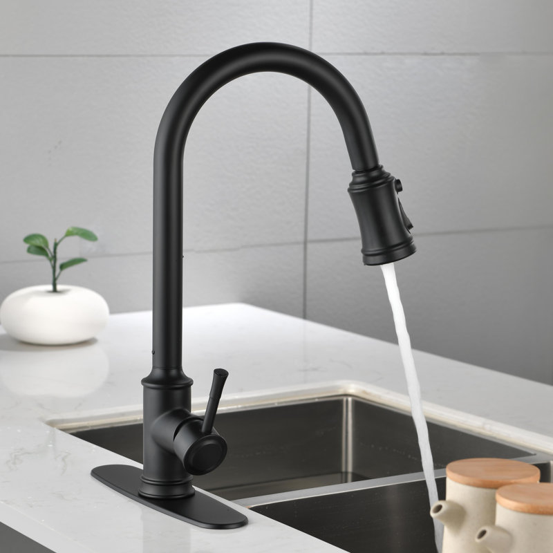 Robinet de cuisine rétractable à poignée simple avec accessoires, Noir mat