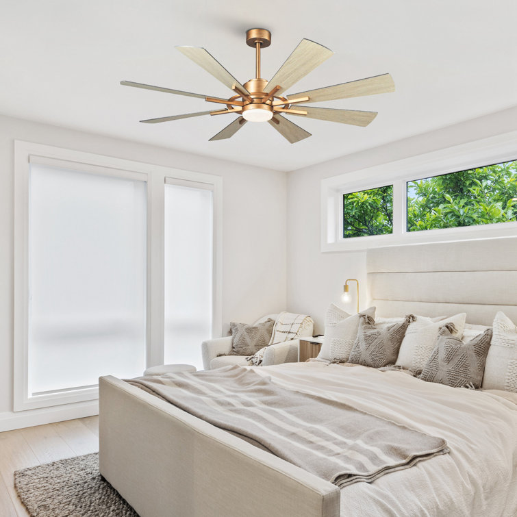 Mercury Row® Trosclair 60'' Ceiling Fan with LED Lights & Reviews | Wayfair