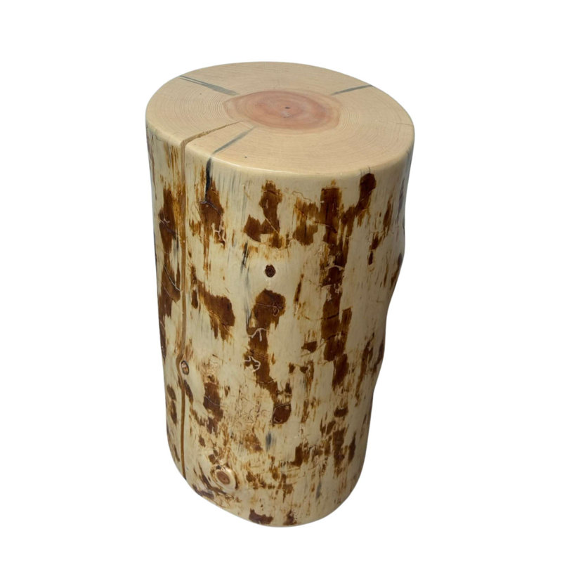 Souche de pin Heritage, support pour plante / table d'appoint / tabouret, 9 po x 18 po, vernis naturel transparent