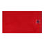 Ensemble de 2 serviettes de bain 100% coton