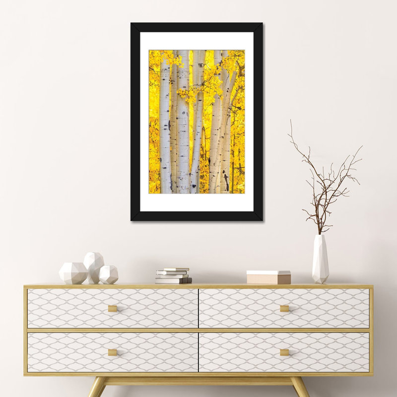 «Fall Colors Aspen Forest» - Colorado Autumn Nature Photo - reproduction d'art murale - papier d'art encadré, 24 po x 16 po
