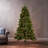 7' Noble Hinged Tree With 500 Clear Lights-Ul,Dia:48",1110Tips