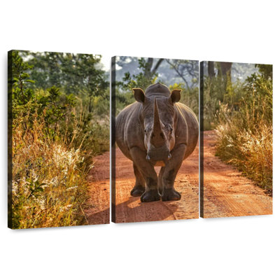Rhino Brampt Safari