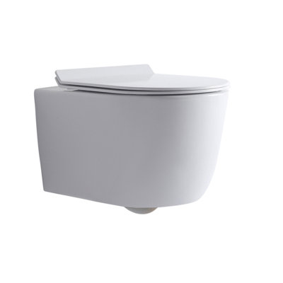 Dakota Dual-Flush Toilet shape Wall-Mount Toilet (Seat Included)