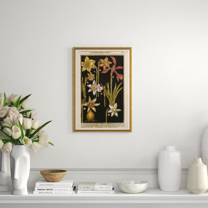Botanicals Giclee Print by Soicher Marin Archives