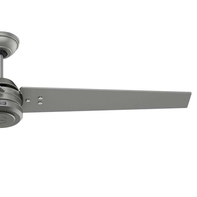 Hunter 60 inch Cassius ENERGY STAR® Damp Rated Ceiling Fan wtih Wall Control, Matte Silver, Matte Silver/Black Willow