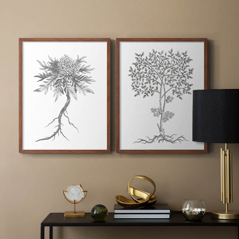 Reproduction encadrée de qualité supérieure de B&W Plant Speciment III - prête à être accrochée - aucun clou requis - aucun clou requis
