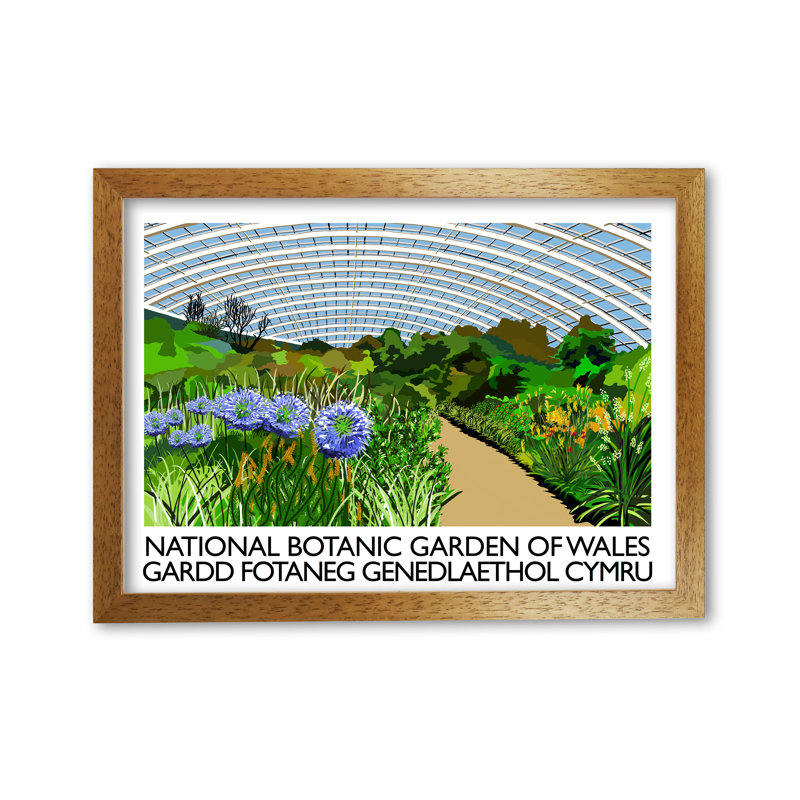 National Botanic Garden Of Wales by Richard O'Neill - Single Picture Frame Print, 29.7 cm H x 42 cm W, Brown