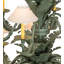 60" Wide Tiki Chandelier
