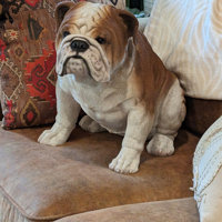 Hi-Line Gift Ltd. Dog Bulldog Statue & Reviews