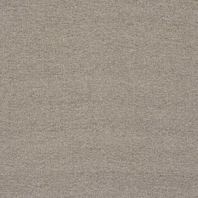 Gus Indoor/Outdoor Fabric