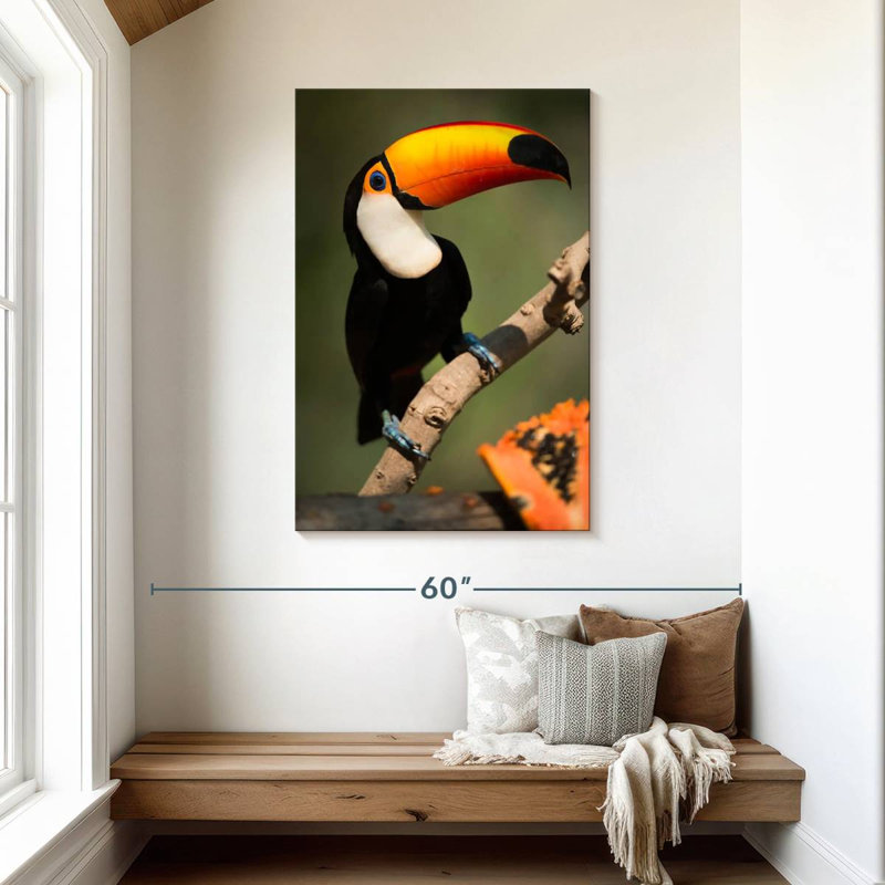 Brampt Adorable Toucan, 45" H x 30" W