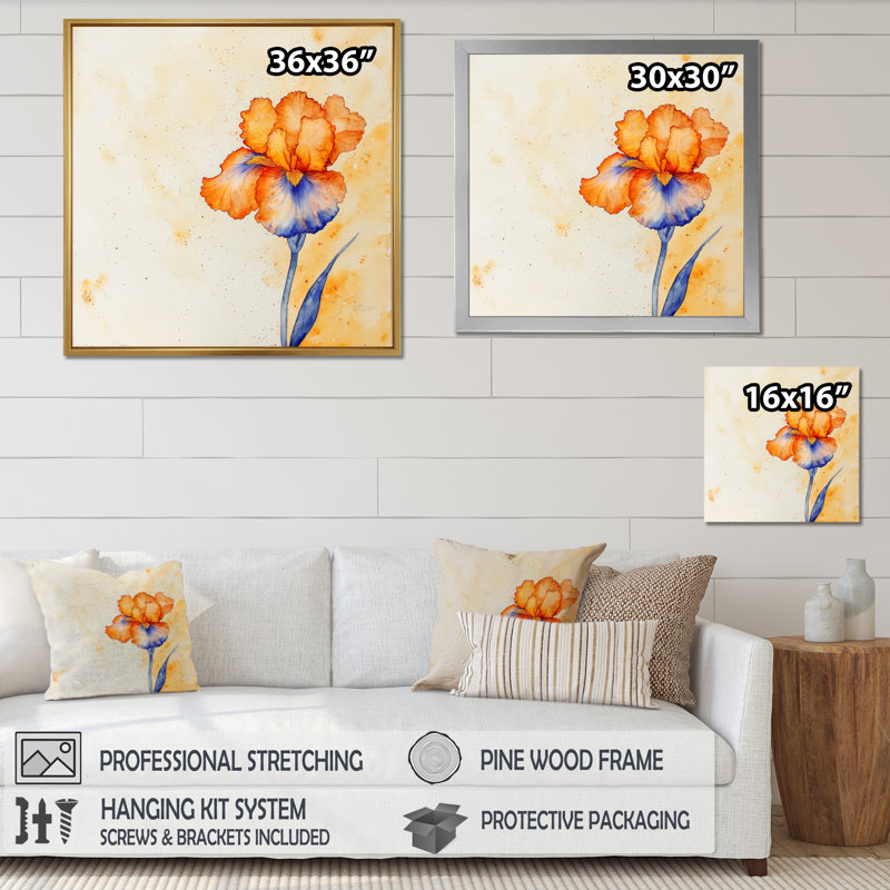 Mauve et orange, rêve éternel d'Iris I - Art mural iris, Reproduction encadrée d'une seule photo sans pass, Noir
