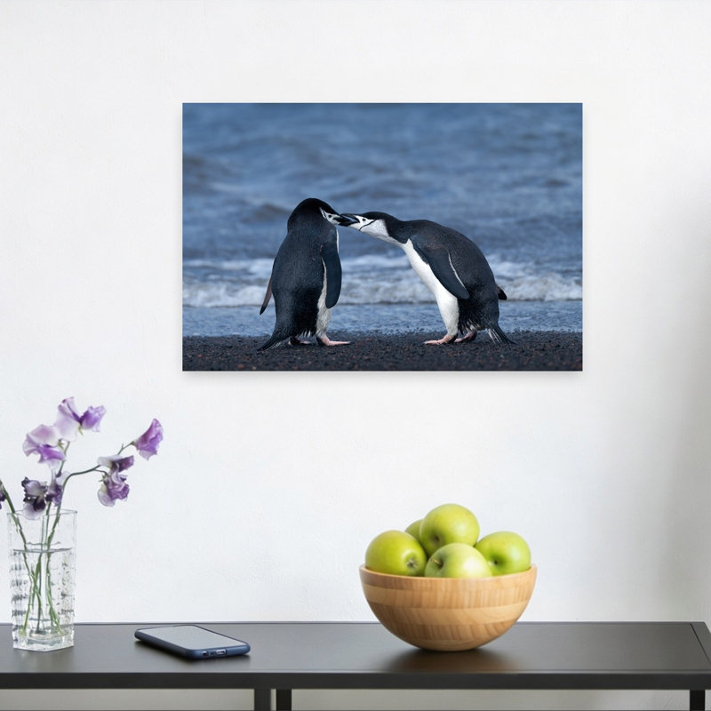 Sweet Penguin Kiss Contemporary Bird Penguin Beach Wall Art Print 1 Piece Wrapped Canvas Wall Art, 45.72cm H x 30.48cm W
