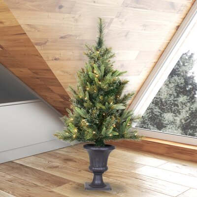 Cashmere 3.5' Green Pine Artificial Christmas Tree with 100 Clear Lights -  The Holiday AisleÂ®, HLDY2160 32357798